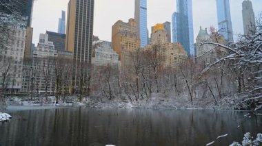 Central Park Gölü 'nün kış manzarası. Manhattan' ın ortasında gökdelenler var. Central Park 'taki ağaçlar ve donmuş gölet New York City gökyüzü altındaki gökyüzü binalarıyla kaplıydı..