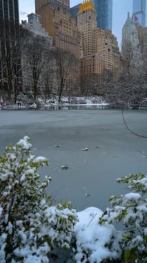 New York, ABD, 9 Şubat 2026: New York Central Park 'ta donmuş göl yüzeyi. Buzlu bir göletin dikey görüntüsü, çalıların üzerinde kar var ve arka planda Manhattan şehir merkezi gökdelenleri var..