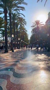 Alicante, İspanya, 6 Ağustos 2025: Espana dalgalı geçidini palmiye ağaçlarıyla açıklayın. Alicante 'deki ünlü mozaik yaya geçidi gün batımında palmiye ağaçları mermer döşemeli yolu kaplıyor..