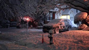 Kar zemini, bitkileri, arabayı ve çatıyı kapladı. New York, ABD 'de güzel karlı kış.