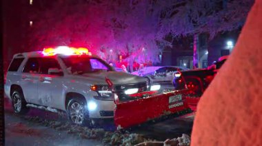 New York, ABD, 9 Ağustos 2025: Şebeke pencereli ve yeşil ağaçlı modern ofis binası cephesi.