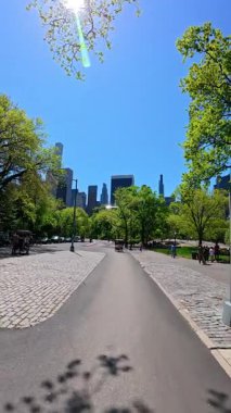 New York, ABD, 25 Ağustos 2025: Central Park şehir merkezi Manhattan siluet binalarına doğru yol manzarası. Central Park 'taki geniş yol, yeşil ağaçları ve parlak güneş ışığıyla Manhattan gökdelenlerine doğru gidiyor..