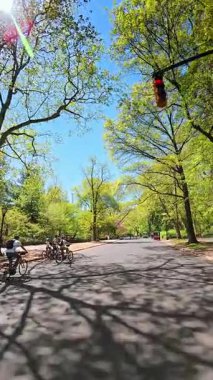 New York, ABD, 25 Ağustos 2025: Central Park New York 'ta insanlar bisiklet sürüyor. Bisikletçiler asfaltta uzun gölgelerle güneşli bir günde Central Park 'taki yeşil ağaçların arasında bisiklet sürüyorlar..