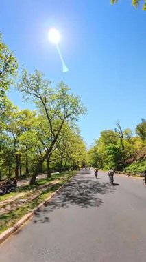New York, ABD, 25 Ağustos 2025 Central Park New York City 'de bisikletçilerle dolu güneşli bir yol. Central Park 'ta yeşil ağaçlarla çevrili uzun asfalt yol bisikletçiler ve parlak güneş mercekleri parlıyor..