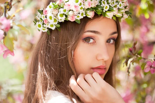 Amazing spring beauty. — Stock Photo, Image