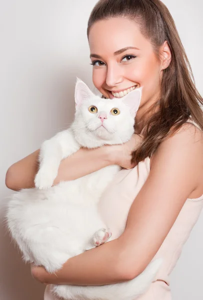 Katten zijn leuk. — Stockfoto