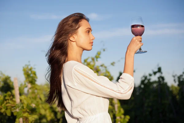 Wunderschöne brünette Frau mit Wein Spaß. — Stockfoto