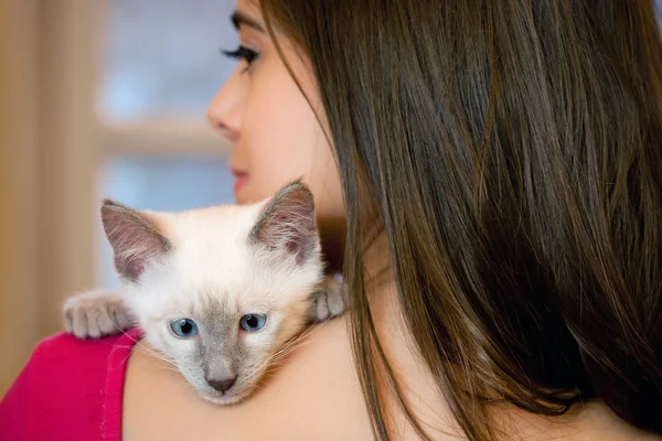 Brunette beauty with cute kitten. — Stock Photo, Image