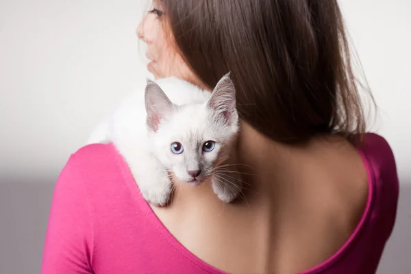 Brunette beauty with cute kitten. — Stock Photo, Image