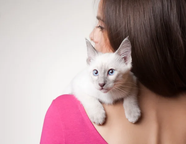 Perfect pet. — Stock Photo, Image