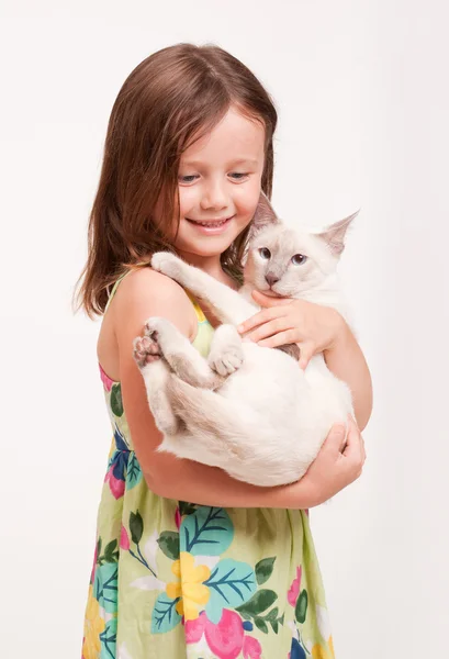 Beautiful young girl holding a cat. — Stock Photo, Image