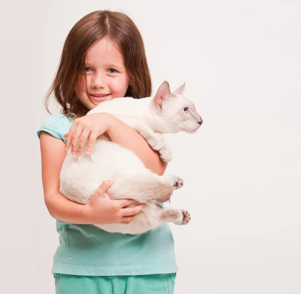 Beautiful young girl holding a cat. — Stock Photo, Image