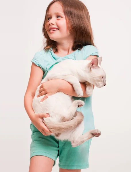 Beautiful young girl holding a cat. — Stock Photo, Image