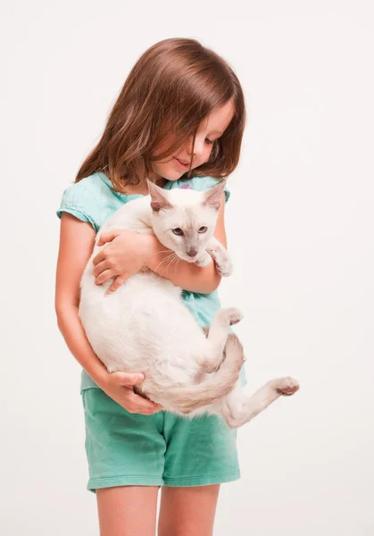 Beautiful young girl holding a cat. — Stock Photo, Image