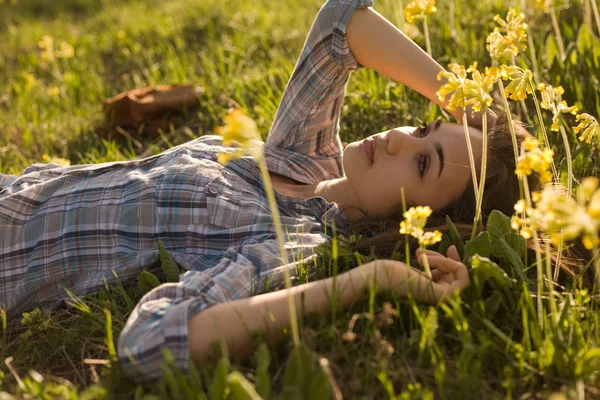 Sueño del prado puesta de sol . —  Fotos de Stock