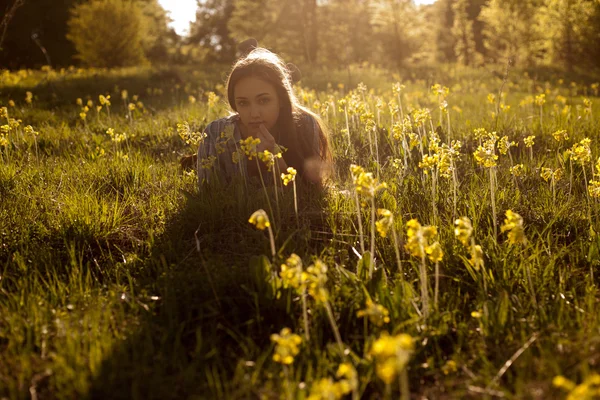 Sueño del prado puesta de sol . —  Fotos de Stock