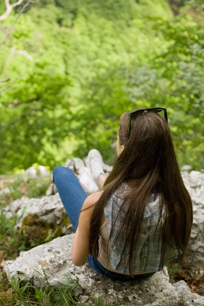 Over the forest. — Stock Photo, Image