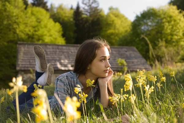 Sunset meadow dream. — Stock Photo, Image