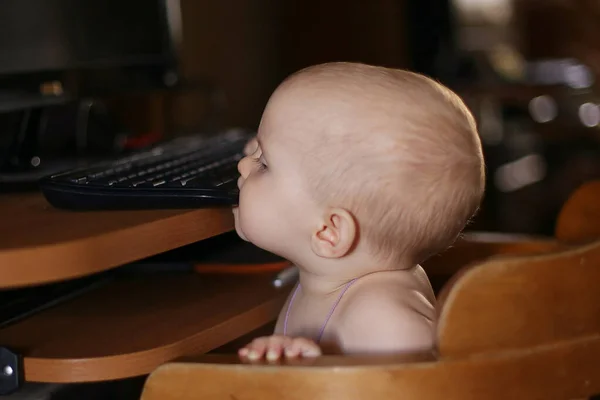 Baby Sitting Chair Table Bites Black Keyboard Room Stock Picture