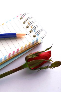 Gül çiçek, defter ve bir kalem