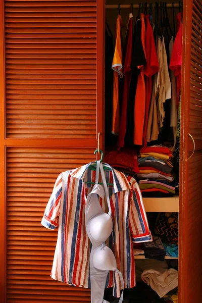 Blusa y sujetador colgando de la puerta de un armario de ropa —  Fotos de Stock