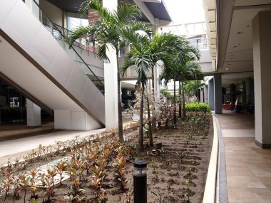 Mimari tasarım ve Robinson'ın yerinde Bahçe park