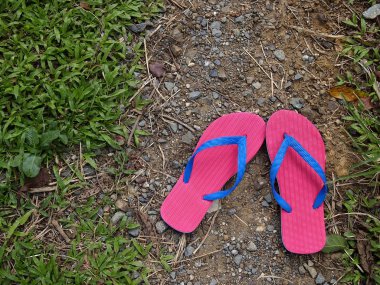 Renkli terlik veya Flip flop