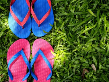 Renkli terlik veya Flip flop