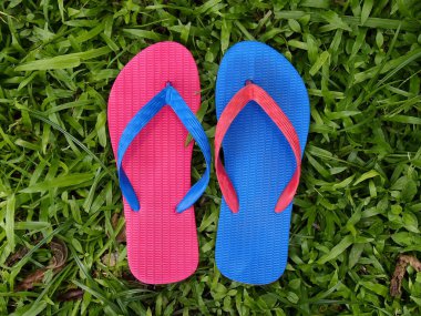 Renkli terlik veya Flip flop