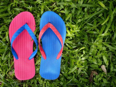 Renkli terlik veya Flip flop