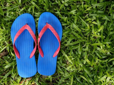 Renkli terlik veya Flip flop