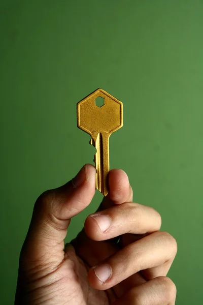 El düzenlenen altın anahtar — Stok fotoğraf