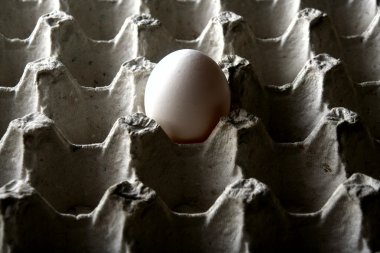 Tek yumurta bir yumurta tepsi veya yumurta kartonu