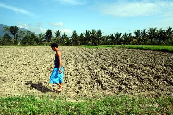 Um agricultor passa por um campo de arroz seco — Fotografia de Stock