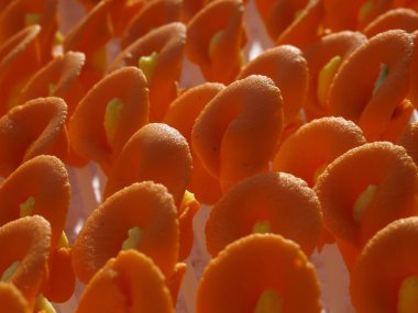 Renkli çiçek royal Icing pasta Dekorasyonu