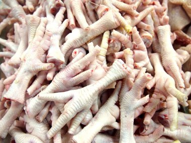 Taze çiğ tavuk ayağı