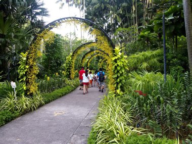 Turistler yürüyüş içinde Singapore botanik bahçeleri Singapur.