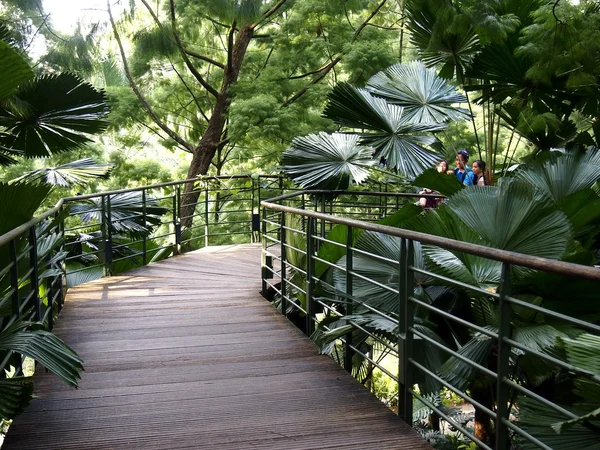 Architektonické návrhy uvnitř Singapore Botanic Gardens v Singapuru. — Stock fotografie