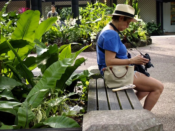 Um turista descansa em um banco de parque e olha para fotos — Fotografia de Stock