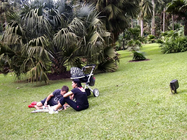 Eine Touristenfamilie sitzt und ruht im Gras — Stockfoto