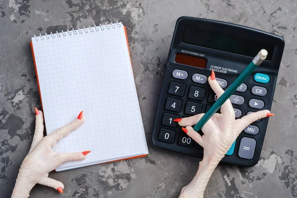 Pata de frango com um lápis conta com uma calculadora, o outro está em um notebook. — Fotografia de Stock