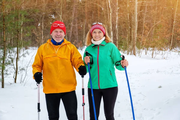 Elderly couple walking with nordic walking poles in snowy winter park