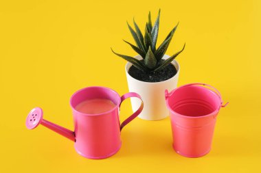 Su Tenekesi ve Kova, Çiçek saksısının yanında, sulu.