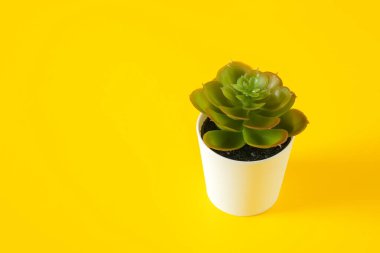 Tencerede yaprakları olan yapay yeşil çiçek. 