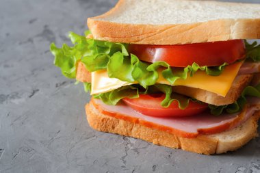 Jambonlu lezzetli sandviç, salata, peynir ve domatesli gri arka plan, seçici odak, yakın görüş