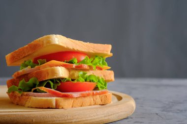 Gri arka planda büyük lezzetli sandviç.