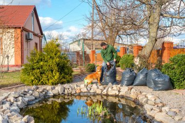 Adam düşen yapraklardan bir bahçe göletini temizler ve onları çöp torbasına koyar.