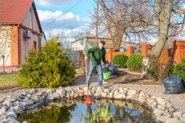 Man cleans a garden pond from water plants and falling leaves clipart