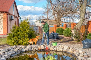 Adam, su bitkilerinden ve düşen yapraklardan yapraklarla bir bahçe göletini temizliyor.