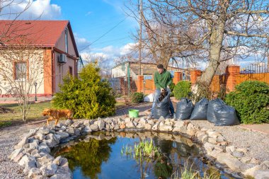 Adam düşen yapraklardan bir bahçe göletini temizler ve onları çöp torbasına koyar.